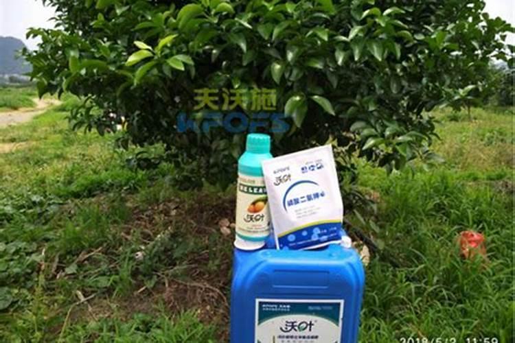 樱桃树水溶肥的使用方法