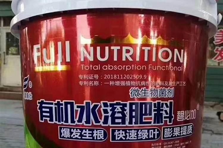 甜瓜不施底肥,后期冲水溶肥可!