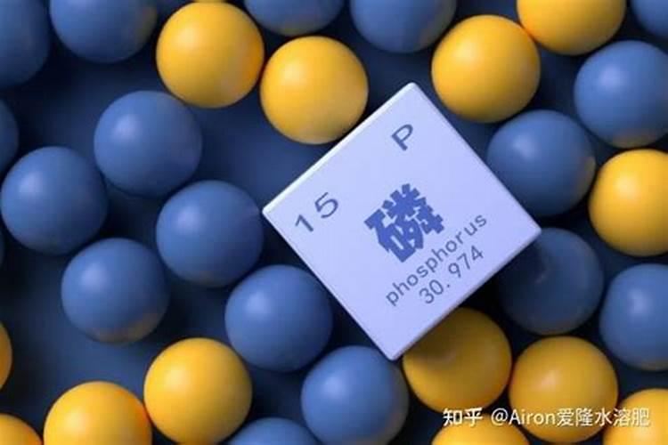 园艺级肥料相当于什么级别