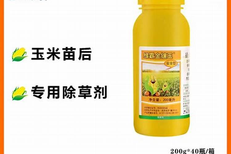 玉米追什么肥料最好