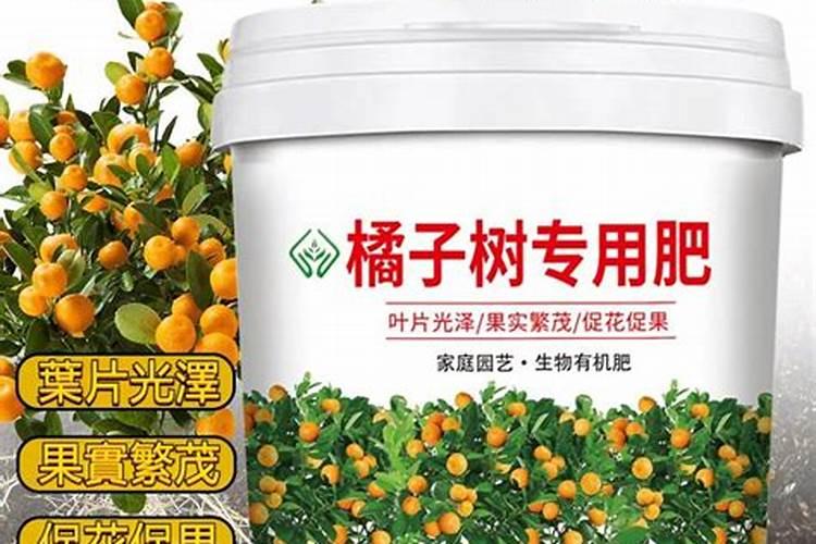 要桔子甜放什么肥料