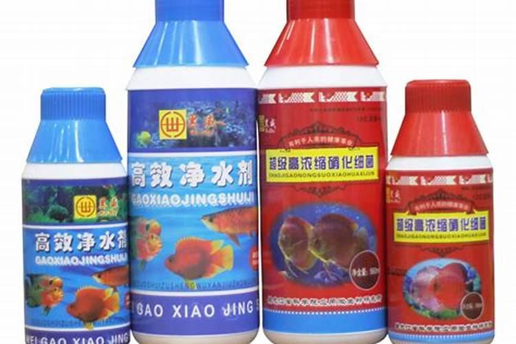 硝化细菌胶囊怎么用在鱼缸,硝化细菌有哪几种