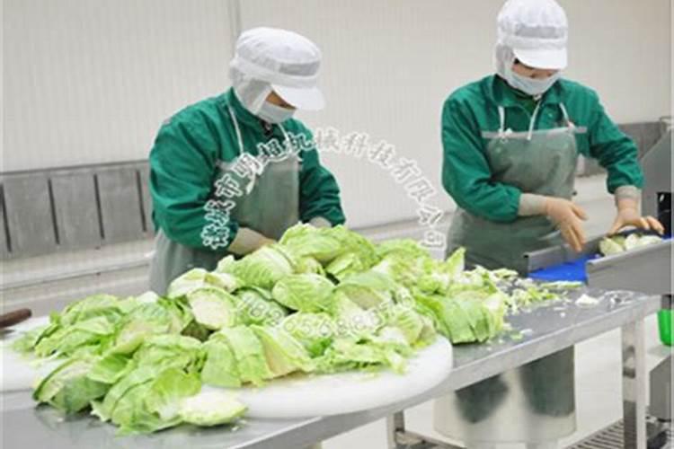 蔬菜叶面肥有哪些品种