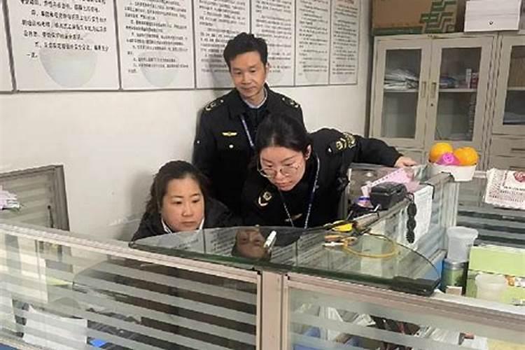 养殖syb创业计划书