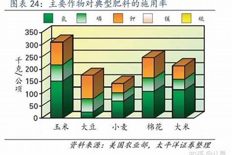 玉米钾肥的正确使用方法