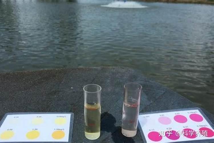 水产养殖氨氮高是什么原因造成的