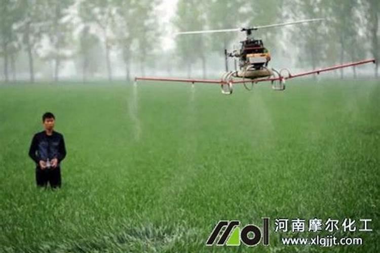 ...已经枯黄无法喷施芸苔素解毒,可以用芸苔素灌根吗？