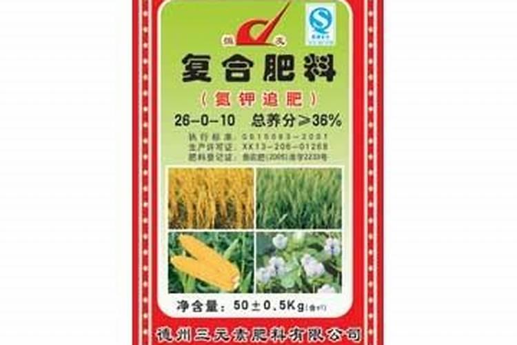 日光温室秋冬茬西葫芦苗期如何管理？