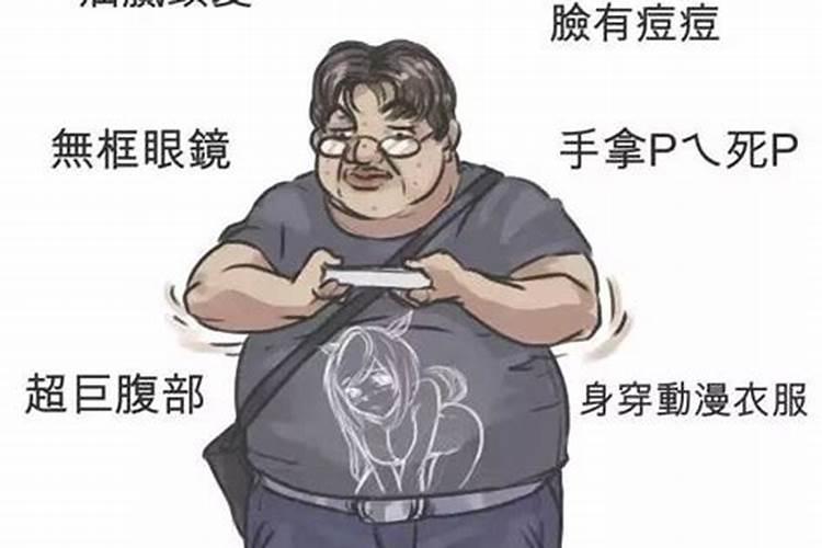 肥宅到底是什么意思