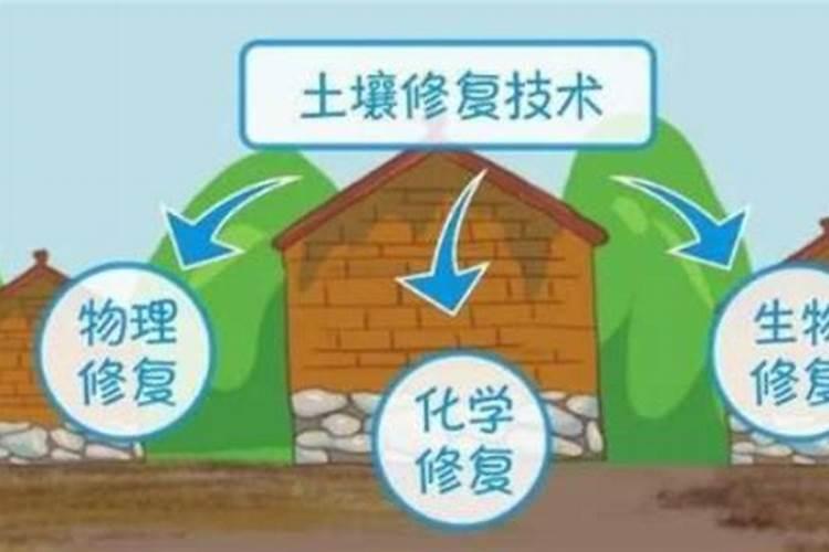 土壤含磷量高怎么整改
