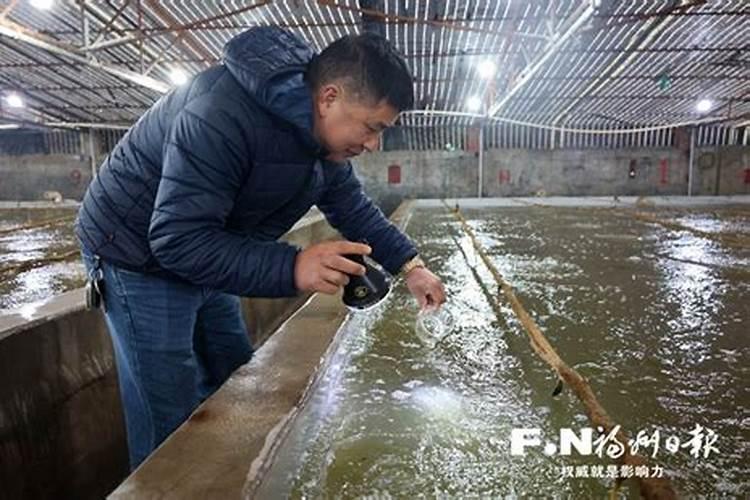 鱼蛋白使用注意事项