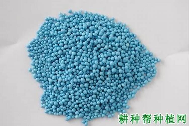 水溶肥什么品牌好？