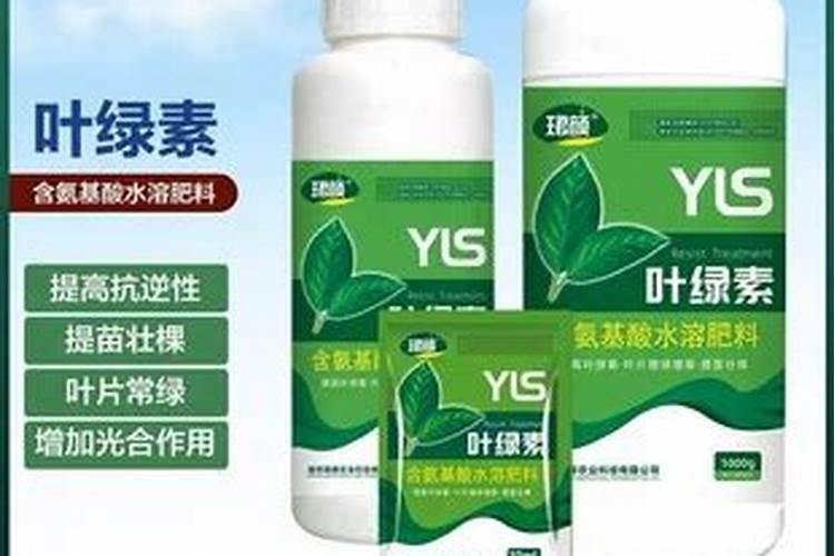 养花怎么养叶子才能油绿,拿什么浇花叶子比较绿