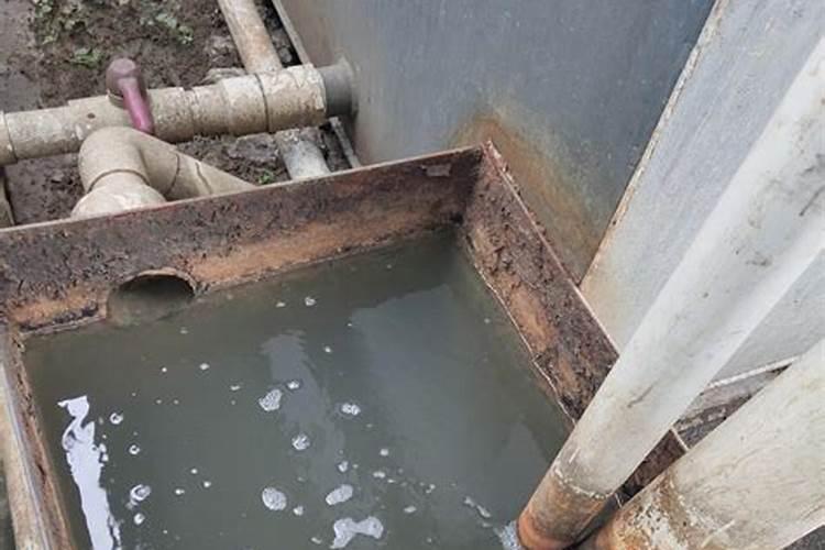 怎样快速降解水中的氨氮