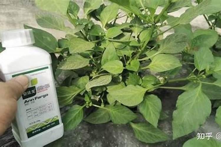 硼肥的用法及用量
