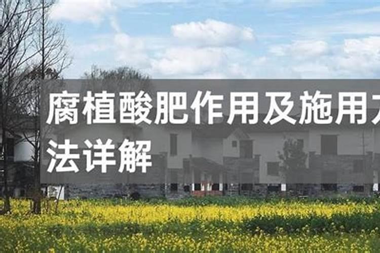 腐植酸肥料的作用 腐植酸肥料有什么功效