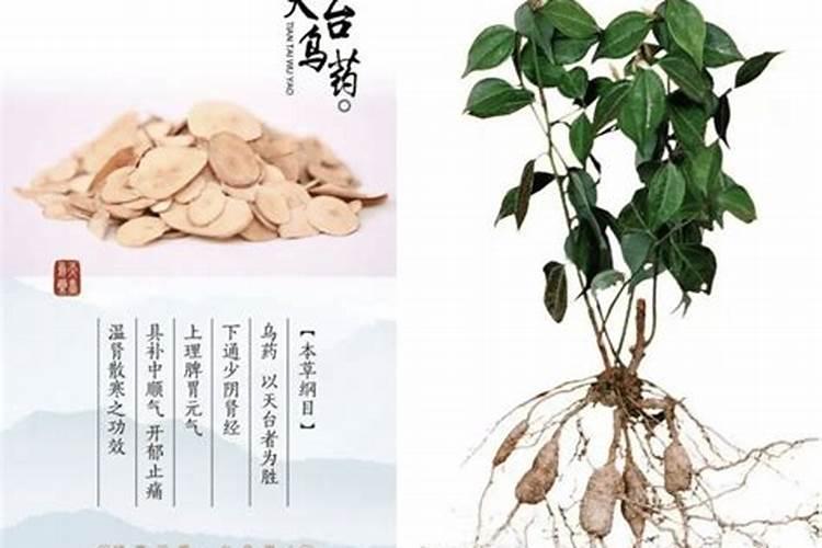 硼砂是硼肥吗