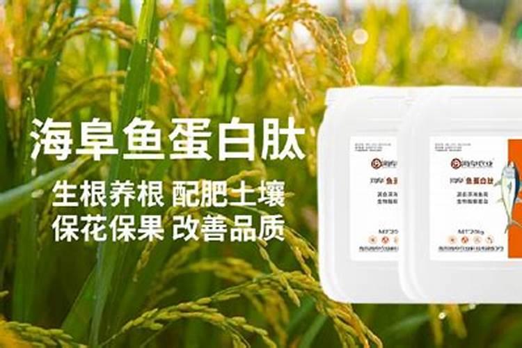 鱼蛋白肥料的功效与作用