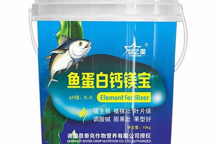 十大高蛋白质鱼排名