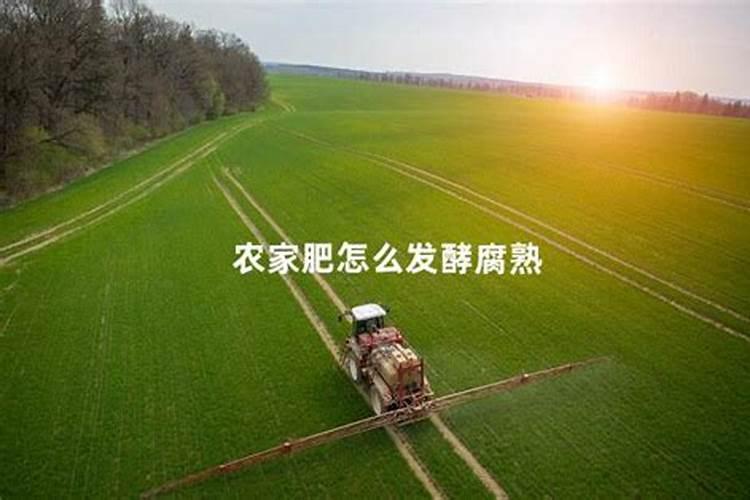 江苏化肥厂有哪些