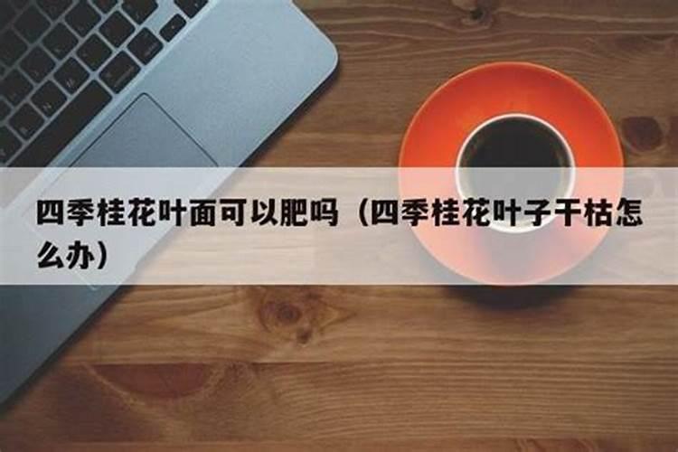 梅花干枯后怎么救活？