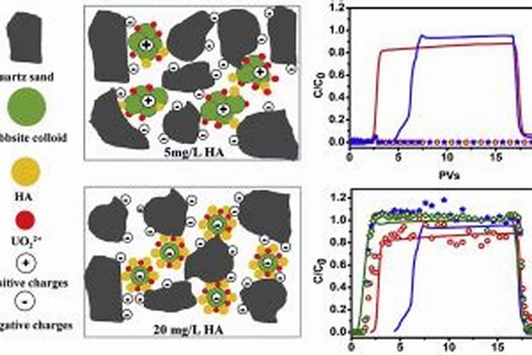 黑土中为什么腐殖质不易分解有机质含量就高