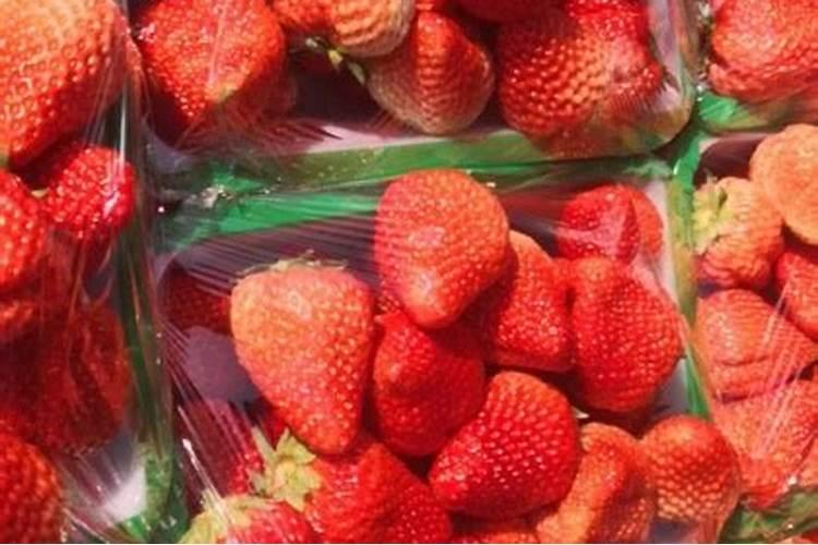 草莓肥料哪些最好