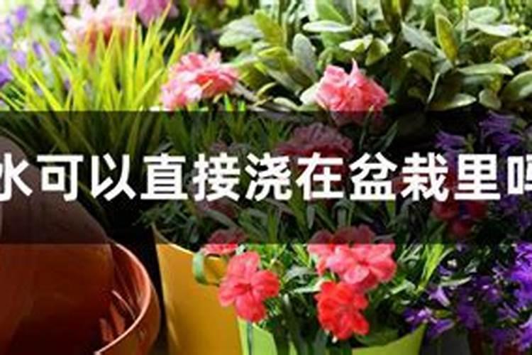 生根水可以用来浇花吗