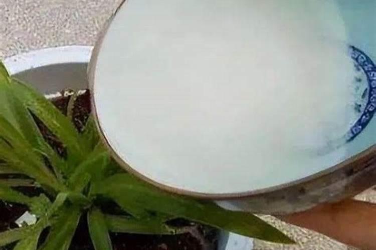 氮肥可以兑水浇花吗