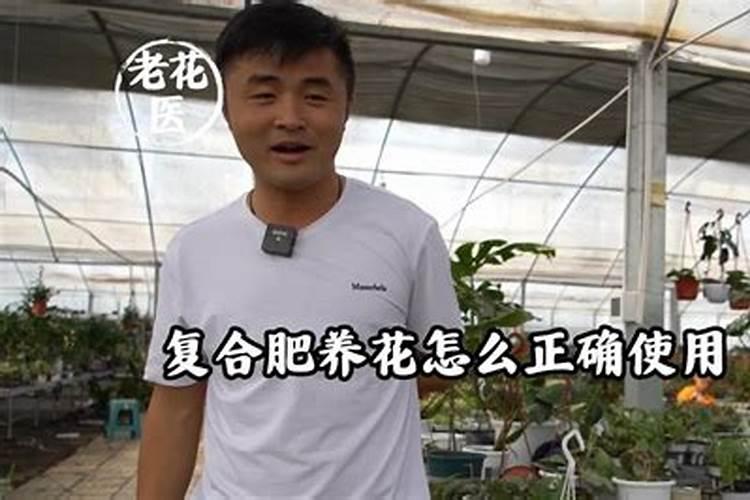 复合肥怎么使用正确养花、复合肥如何使用不烧根