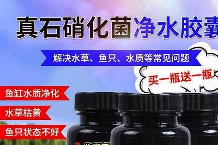 菌肥的正确使用方法
