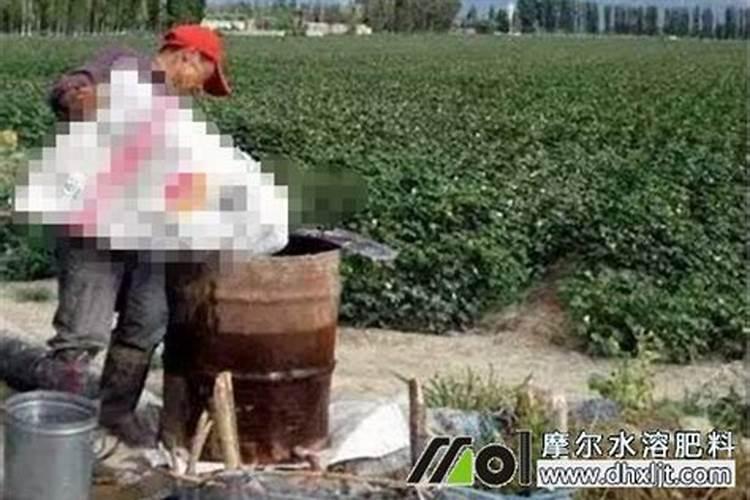 冲施肥用腐殖酸好还是黄腐殖酸好