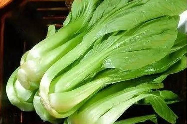 芹菜施什么肥长得好 芹菜施什么肥长怎样才能长好呢