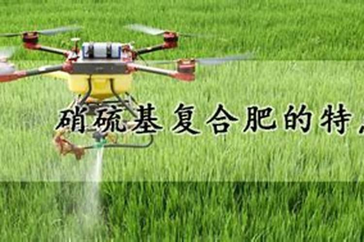 如何利用沼液叶面施肥？