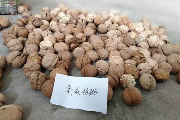 去年栽的核桃树,今年叶子慢慢的变黄就死了,是什么问题怎么办？