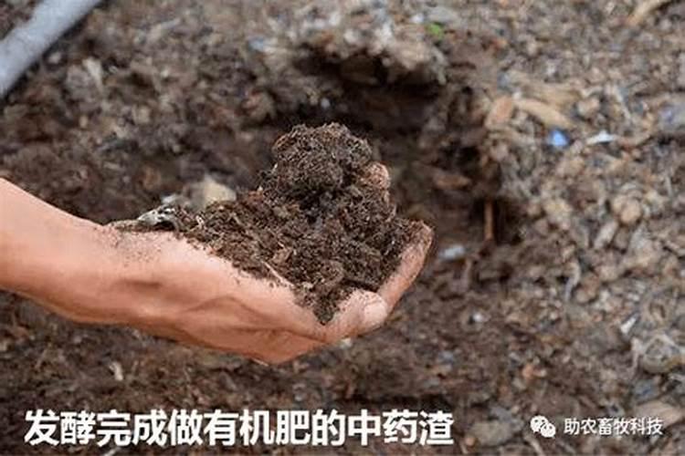 易农王中草药菌肥有什么作用？使用效果怎么样？