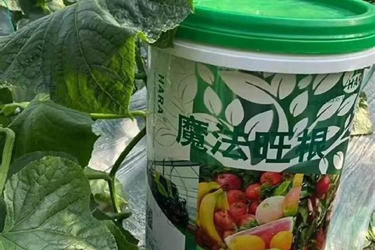 用什么肥料能让农作物快速生根？