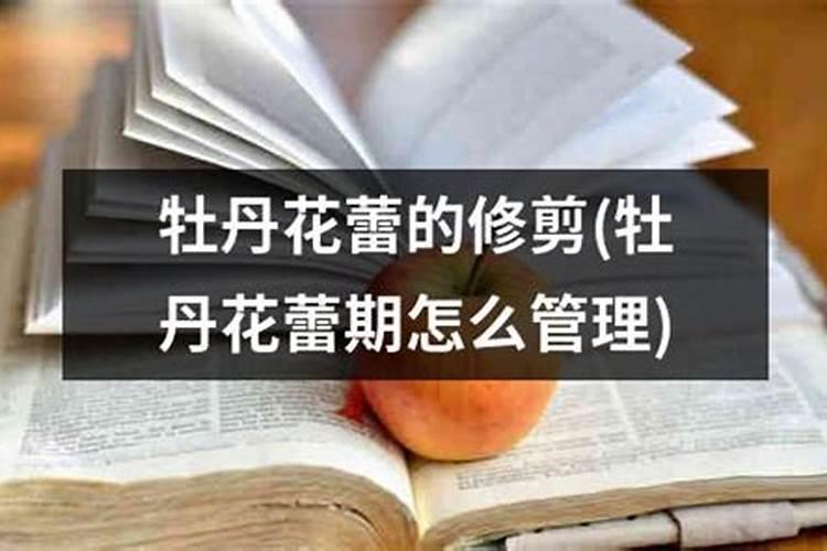 ...牡丹,现在出来了十个花苞,应该怎么修剪？怎么施肥？恳请有经验的人指点...