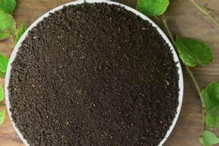 家里种花用什么肥料