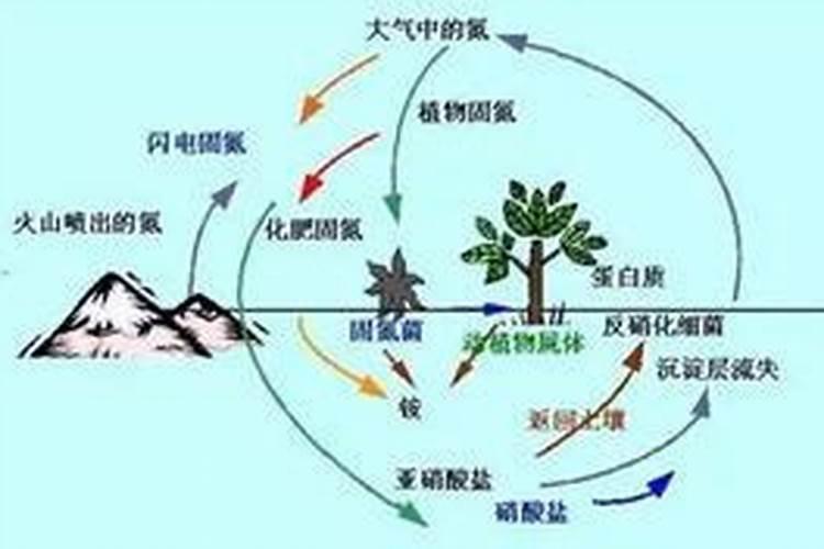 黄腐酸和腐殖酸的区别