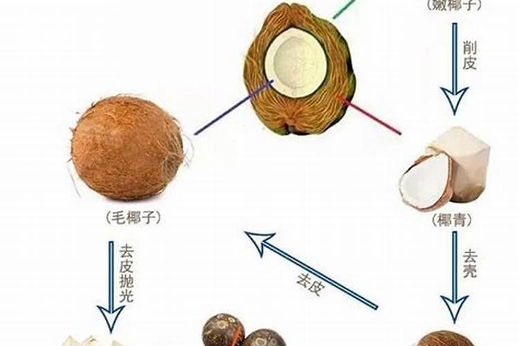 椰青的营养价值怎么样？