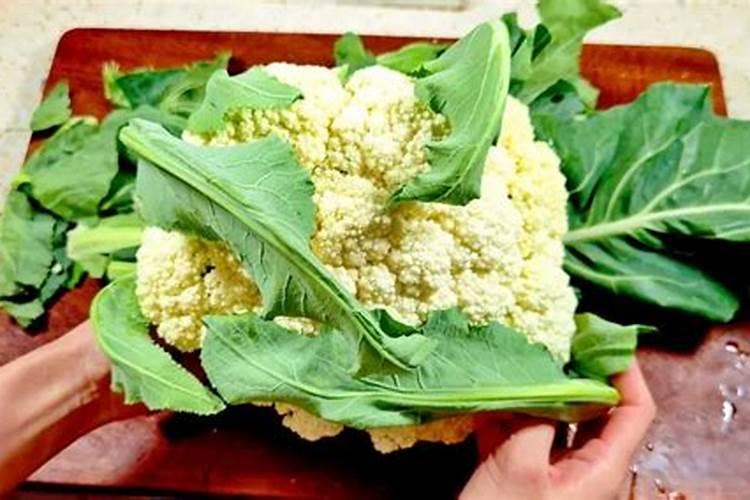花菜施什么肥好