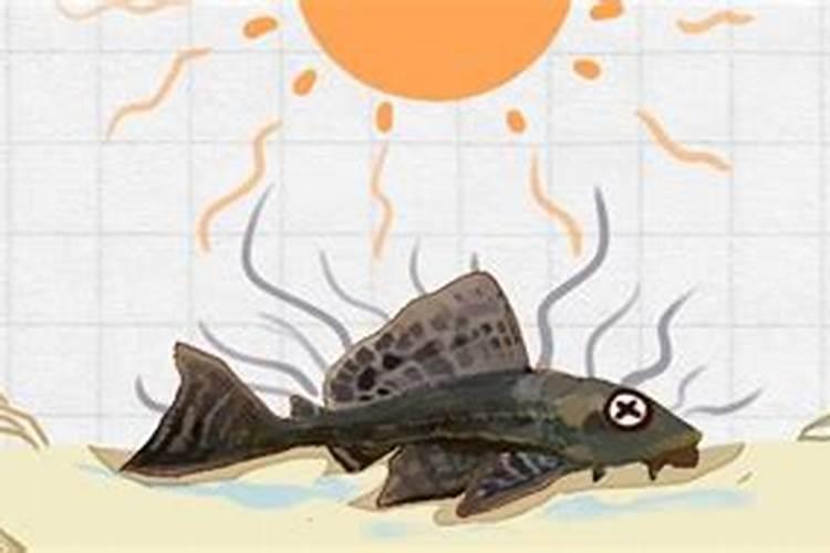 鱼内脏可以直接埋土里做肥料吗