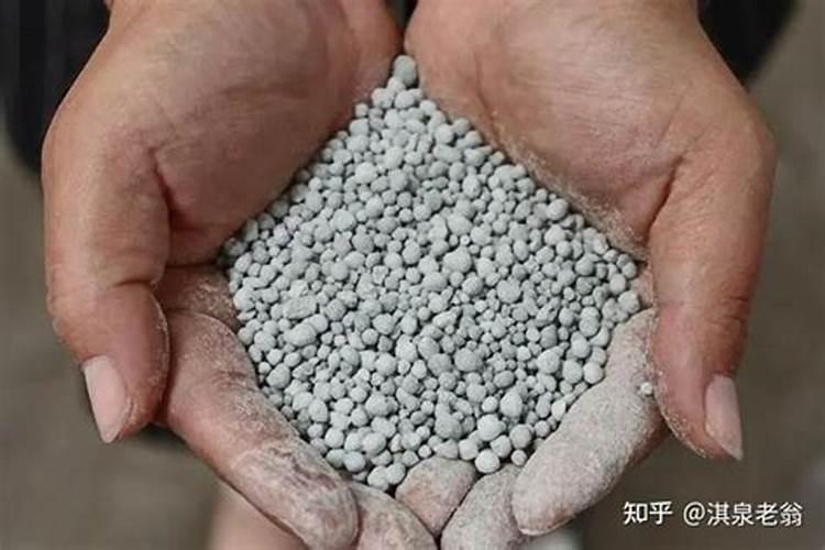 莴笋茎部开裂的原因是什么 预防措施有哪些