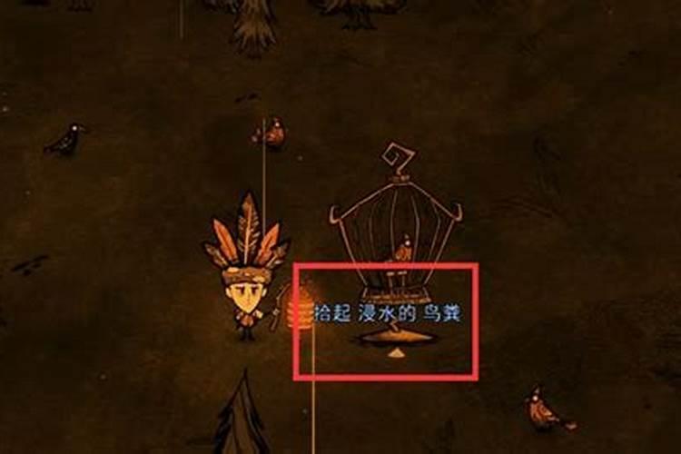 鸟粪能不能直接做花肥