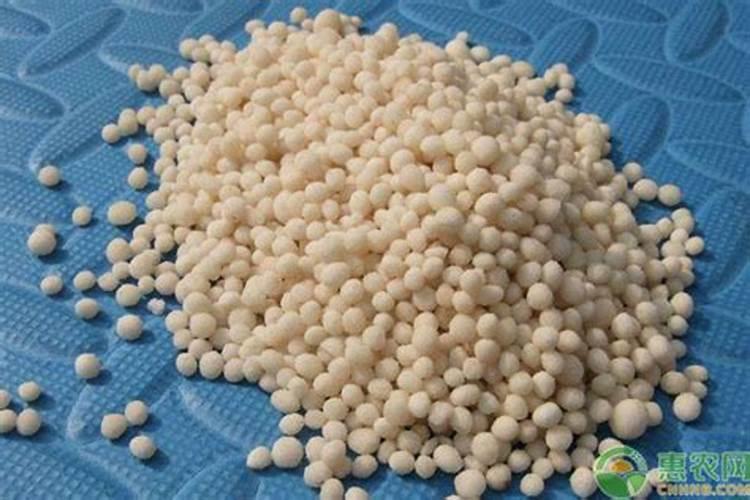 蝴蝶兰需要每天喷水吗？