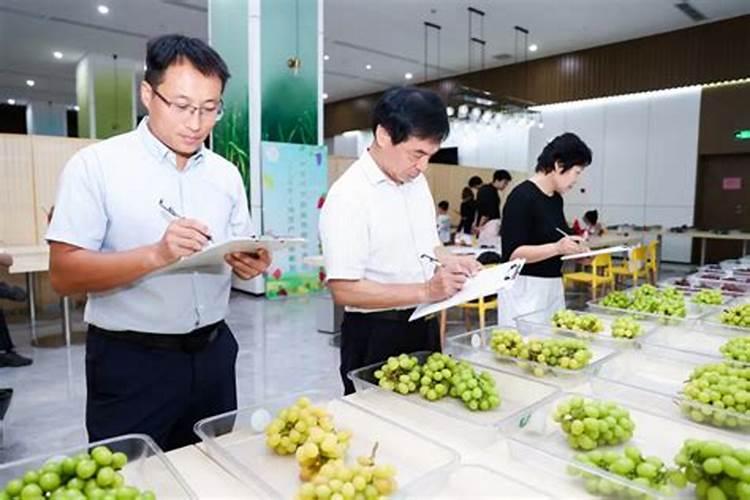 复合肥生产工艺分类及原理