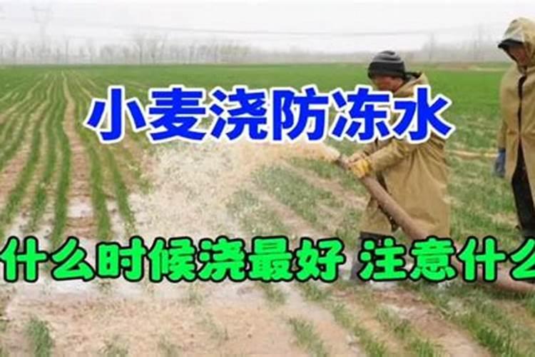 给小麦打叶面肥,是孕穗期还是出齐穗后呢？