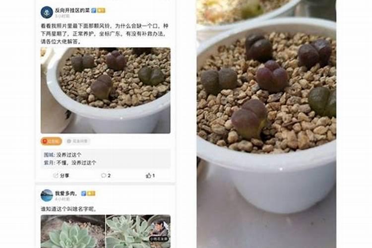 深翻的优点都有哪些？什么地适合深松？