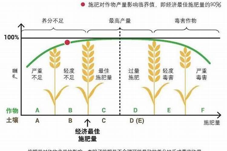 磷肥氮肥尿素复合肥的区别
